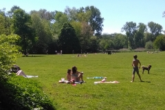 Vondelpark (7-5-2018)