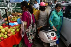 Srinagar - Kashmir (8-8-2018)