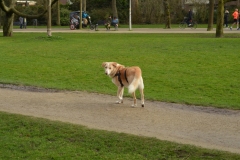 Vondelpark, Amsterdam