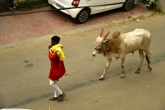 Chandigarh - Sector 40