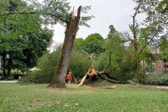 Bilderdijkpark - Oud-West, Amsterdam (9 juli 2023)