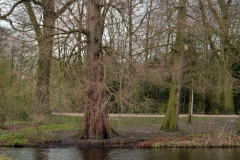 Vondelpark, Amsterdam