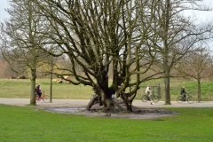 Vondelpark, Amsterdam