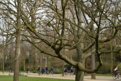 Vondelpark, Amsterdam