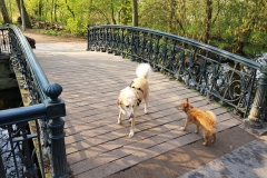 Vondelpark - Dinah