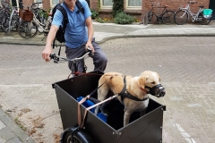 Bakfiets (schenking van M.K.) (4 en 10 augustus 2017)