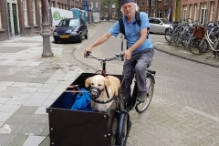 Bakfiets (schenking van M.K.) (4 en 10 augustus 2017)