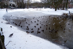 Vondelpark - Amsterdam (9-1-2010)