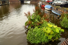 Bilderdijkgracht en -kade, Oud-West, Amsterdam (29 augustus 2021)