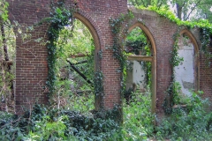 Brabants landschap - Wandeling met Jeanne Kusters (4 juni 2011)