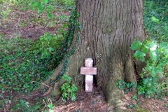 Brabants landschap - Wandeling met Jeanne Kusters (4 juni 2011)