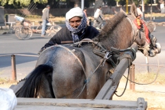 Chandigarh (10 januari 2013, 15:32-15:52) (2.1)