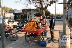 Chandigarh, Sector 40, Walk Around The Block (16:45-17:54) (1.1)