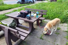 Onderweg van Zichtau, Saksen-Anhalt, Oost-Duitsland, naar Osnabrück (23 augustus 2023)