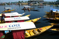 Dal Lake (11-6-2010) (1)