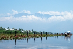 Dal Lake (11-6-2010) (1)