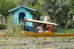 Dal Lake (11-6-2010) (1)