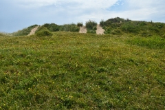 Duinen bij Wijk aan Zee (24-6-2022)