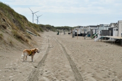 Strand Wijk aan Zee (24-6-2022)