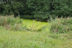 Erasmuspark, Bos en Lommer, Amsterdam-West, Amsterdam (4 september 2017)