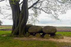 Hunebed D21 - Bronneger, Drenthe