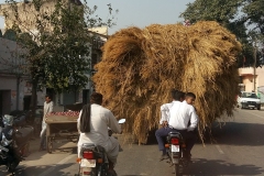 Onderweg naar Jammu (28 oktober 2016))