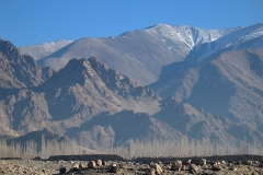 Indus vallei - Ladakh (19 januari 2007)