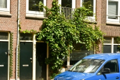 Schimmelstraat - Oud-West, Amsterdam (18-6-2022)