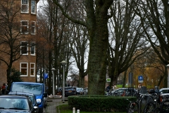 Geuzenstraat, Amsterdam-West (1-1-2022)