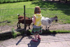 Kinderboerderij De Uylenburg - Rembrandtpark, Amsterdam (2 juni 2011)