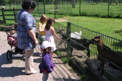 Kinderboerderij De Uylenburg - Rembrandtpark, Amsterdam (2 juni 2011)