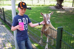 Kinderboerderij De Uylenburg - Rembrandtpark, Amsterdam (2 juni 2011)