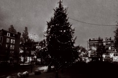 Kerstboom (Kwakersplein) (17.12.18)