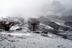 Ladakh (1999) - Bevroren Zanskar rivier (2)