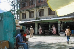 Manali - Himachal Pradesh, India (31 mei 2011)