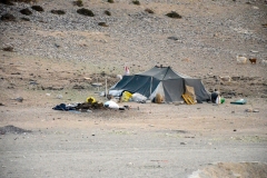 Changtang nomads - Manali-Leh Highway (juli 2017)