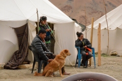 Tourist tents - Changtang - Manali-Leh Highway (juli 2017)