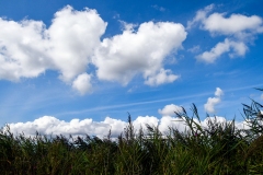 Wolken boven Amsterdam Noordzeekanaal. Naar veerpont Spaarndam-Buitenhuizen, en terug (24 Augustus 2021)