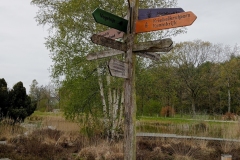 Nationaal park Dwingelerveld - Drenthe (28 April 2023)