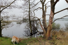 Nationaal park Dwingelerveld - Drenthe (28 April 2023)