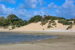 Nationaal Park Zuid-Kennemerland (12 september 2004)