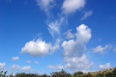 Nationaal Park Zuid-Kennemerland (12 september 2004)