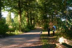 Natuurgebied Haenwijk - Sint Michielsgestel (21-8-2022)