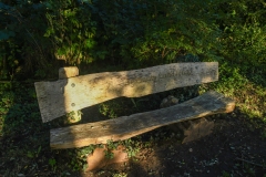 Natuurgebied Haenwijk - Sint Michielsgestel (21-8-2022)