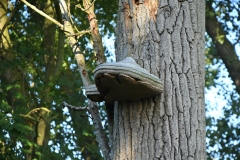 Natuurgebied Haenwijk - Sint Michielsgestel (21-8-2022)