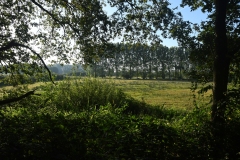 Natuurgebied Haenwijk - Sint Michielsgestel (21-8-2022)