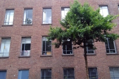 Arie Biemondstraat, WG-terrein, Amsterdam (21.06.2020