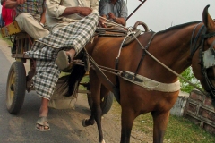 Onderweg in India (Uttarakhand) naar de grens met Nepal (8-10-2006)