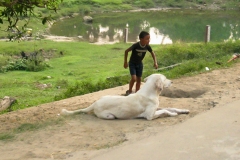 Onderweg in Nepal - vanaf Mahendranagar (9-10-2006)