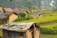 Onderweg in Nepal - vanaf Mahendranagar (9-10-2006)